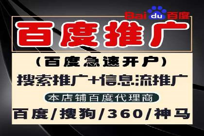 百度推广与SEO结合案例：提升网站排名的技巧
